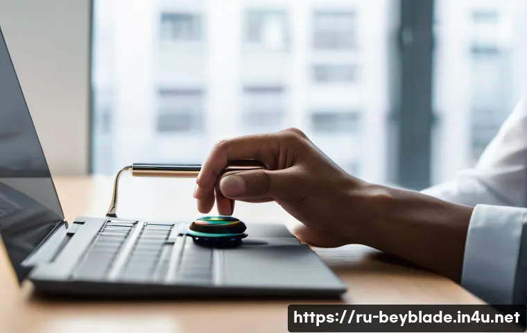 베이블레이드와 스피닝토이 시장 비교 관련 이미지 1